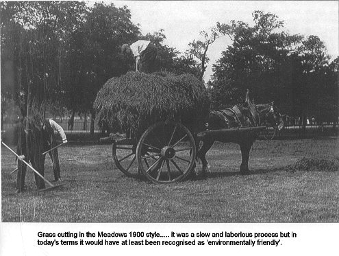 Grass cutting 1900 style