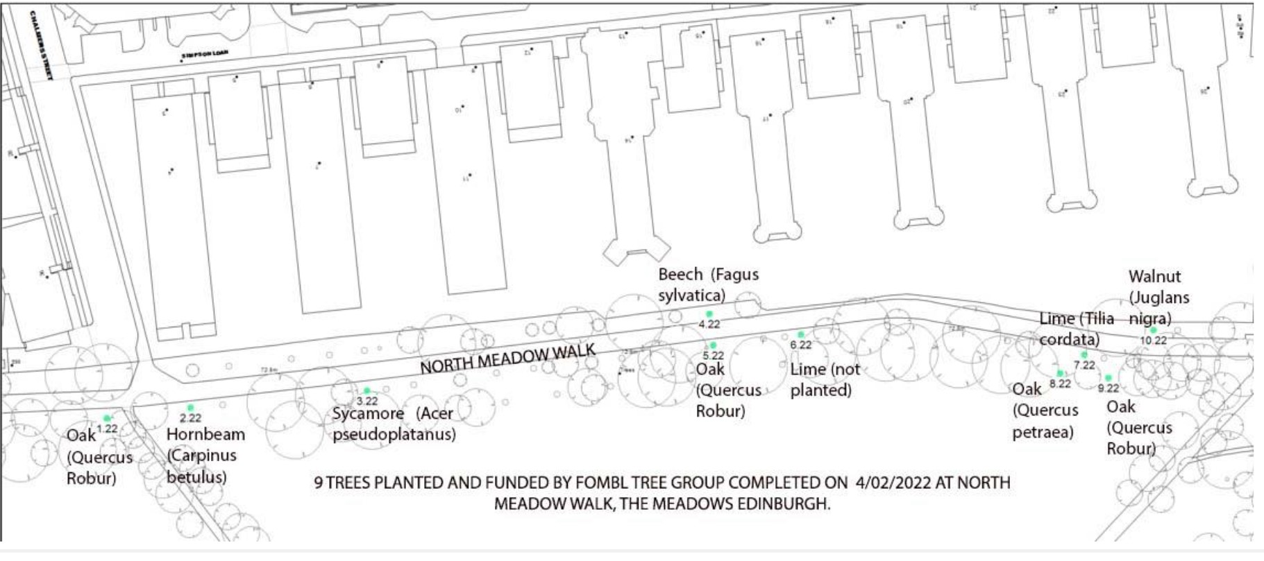 Tree map