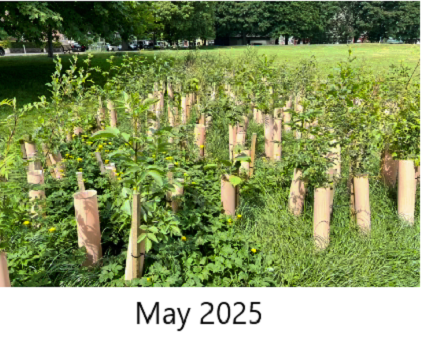 May 2025