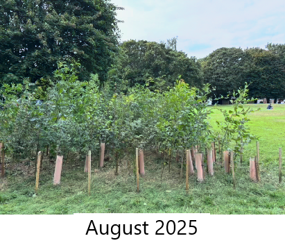 August 2025