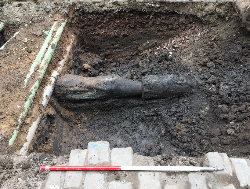 Picture: AOC Archaeology (Lyndsay Dunbar)