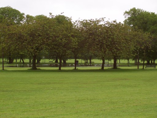 Boroughloch reforming?